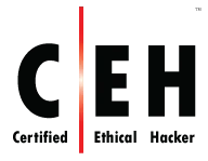 Badge CEH